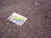Junk