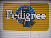 R0011230