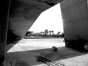 R0015355