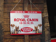 Royalcanin