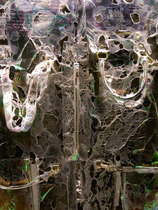 _0013671%202