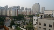 P1010075-800x450