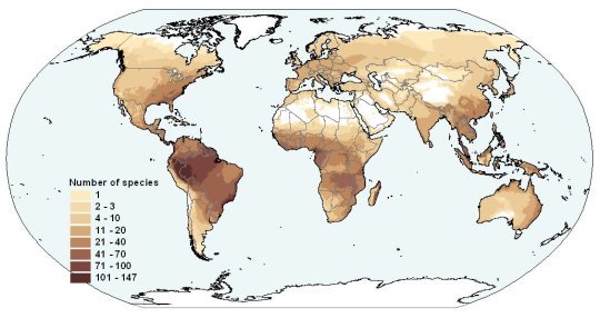 Biodiversity worldwide
