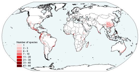 Threatened amphibian species worldwide