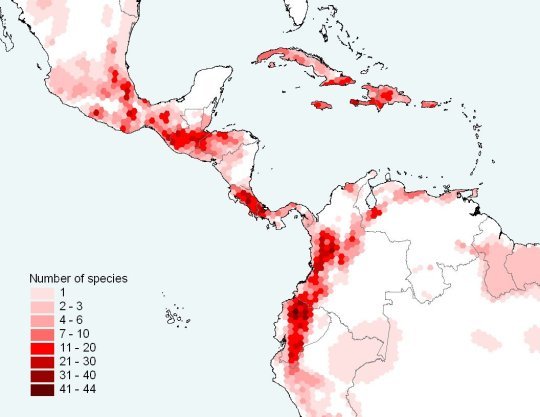 Distribution of threatened amphibians in Central America, northern South America, and the Caribbean
