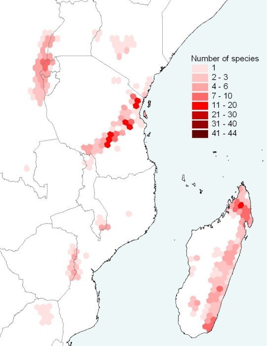 Distribution of threatened amphibians in Madagascar and eastern Africa