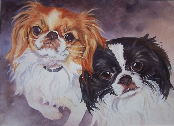 Animals_011