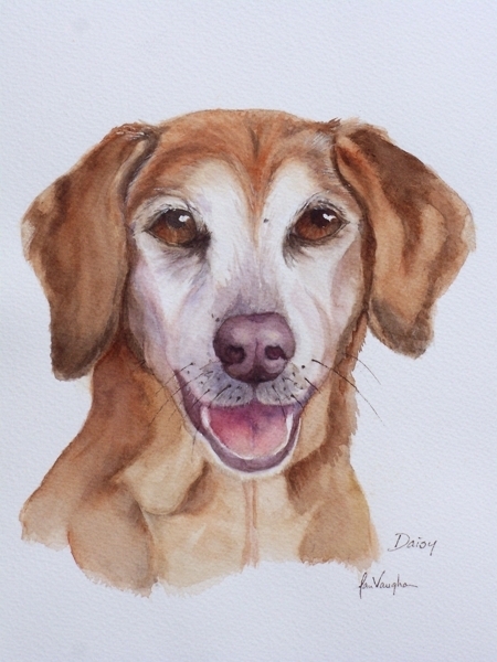 Animals_022