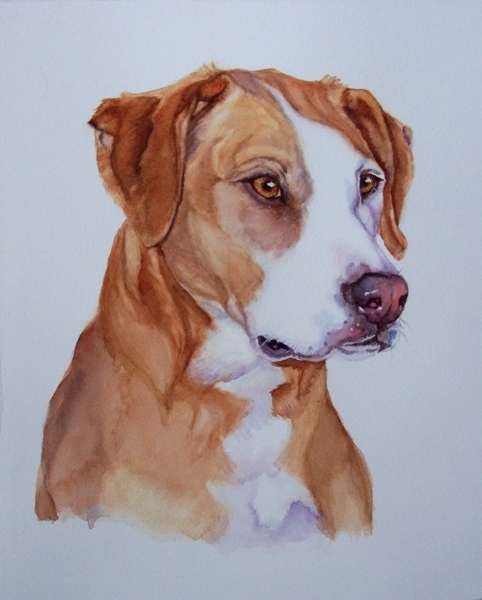 Animals_for_referance_076