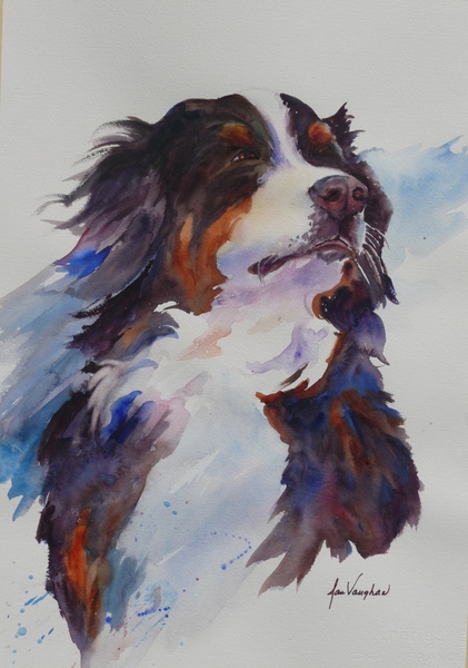 Animals_031