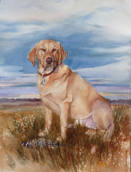 Harvey