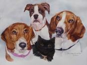 Roxy_yamy_lilly_and_fred_thumb
