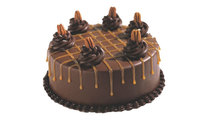 Haagen Dazs Caramel Drizzle Cake