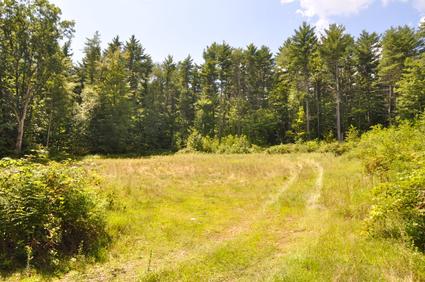 OPEN AREA FOR BUILD