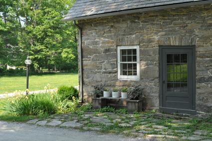 Old stone patio, yellow daisies