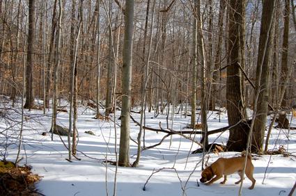 DSC_0432.JPG