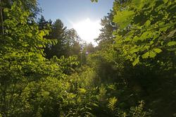 IMG_4138.JPG