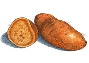 Food Should Taste Good Sweet Potato