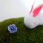 Wee Bunny