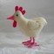 Little Felt Chicken 
