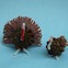Pinecone turkeys