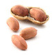 Roasted Peanuts