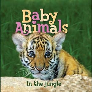 Baby Animals in the Jungle