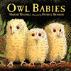 Owl Babies