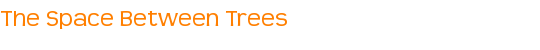 The Space Between Trees 