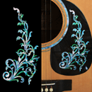 pickguard decal