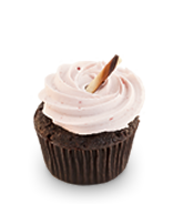 Chocolate and Raspberry Cupcake