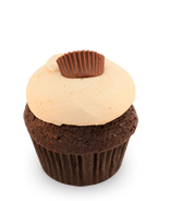 Chocolate Peanut Butter Cupcake