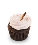 Chocolate and Raspberry Cupcake