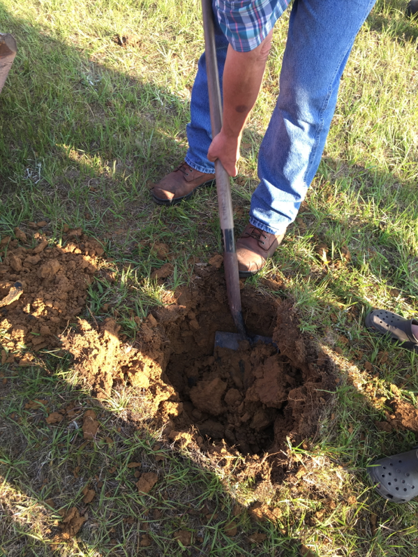 Screen Shot 2016-04-28 at 10.56.24 PM