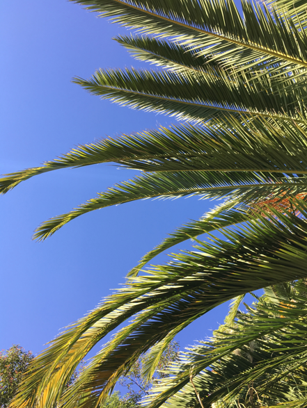 Screen shot 2016-04-02 at 10.25.01 PM