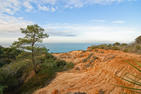 Torrey Pines State Reserve