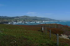 Duncans Landing / Duncans Point 