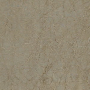 SILK DUPIONI CRINKLES - ECRU [BEC802]