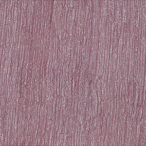 Ls385