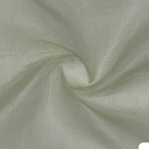 SILK ORGANZA SOLIDS - LT.GREEN  [OR431]