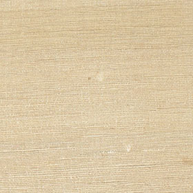 SILK TUSSAH SOLIDS - ECRU [TH804]