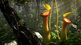 Nature Competition Results