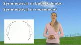 3 Keys of Straightness Training