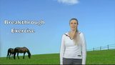 The Breakthrough Exercise