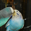 7092_web