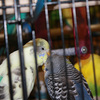6542_web