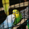 6518_web