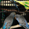 6349_web