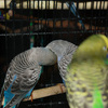 6347_web