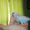 Img_2779_1